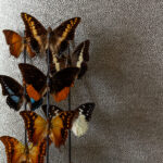 gdrive 1wWghUEIO4D1 Tc7rAZlZqVfrxcBCE75v